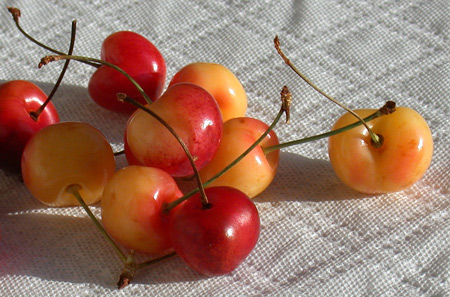 IMage - cherries on white